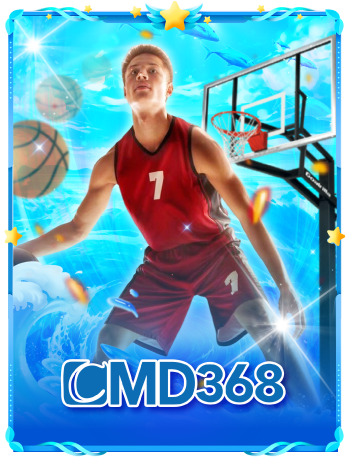 provider-cmd