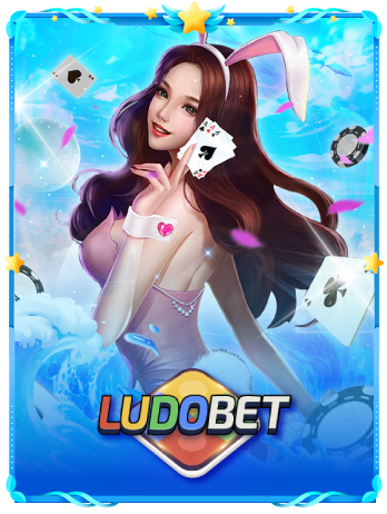 provider-ludo