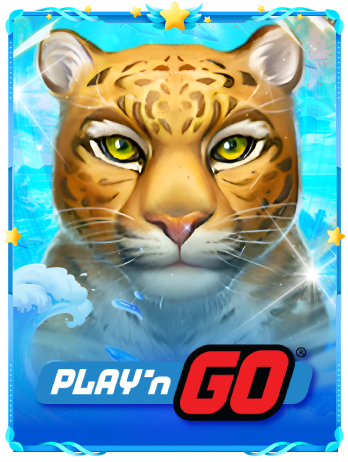 provider-playngo