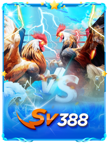 provider-sv388