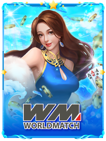 provider-worldmatch